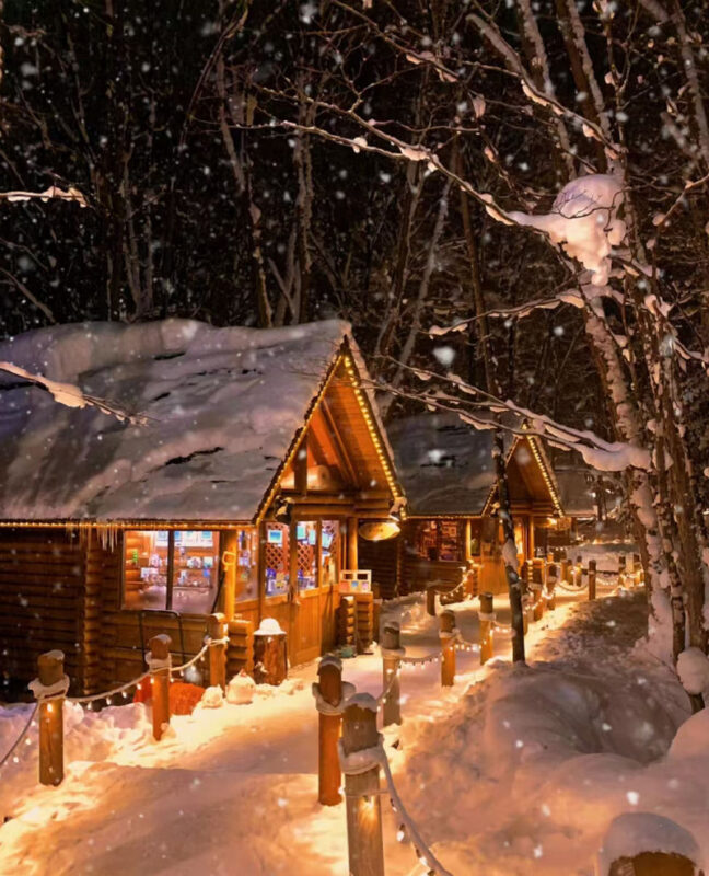 (Hokkaido Winter Illumination) Blue Pond Illumination & Ningle Terrace & Shirahige Waterfall & Shikisai no Oka & Biei Christmas Tree One-Day Tour (Departing from Sapporo) - Ningle Terrace’s little forest workshops