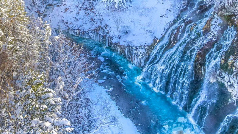 (Hokkaido Winter Illumination) Blue Pond Illumination & Ningle Terrace & Shirahige Waterfall & Shikisai no Oka & Biei Christmas Tree One-Day Tour (Departing from Sapporo) - The Lonely Christmas Tree and a quick photo stop