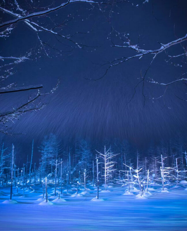 (Hokkaido Winter Illumination) Blue Pond Illumination & Ningle Terrace & Shirahige Waterfall & Shikisai no Oka & Biei Christmas Tree One-Day Tour (Departing from Sapporo) - Shirahige Waterfall, where underground water meets the river