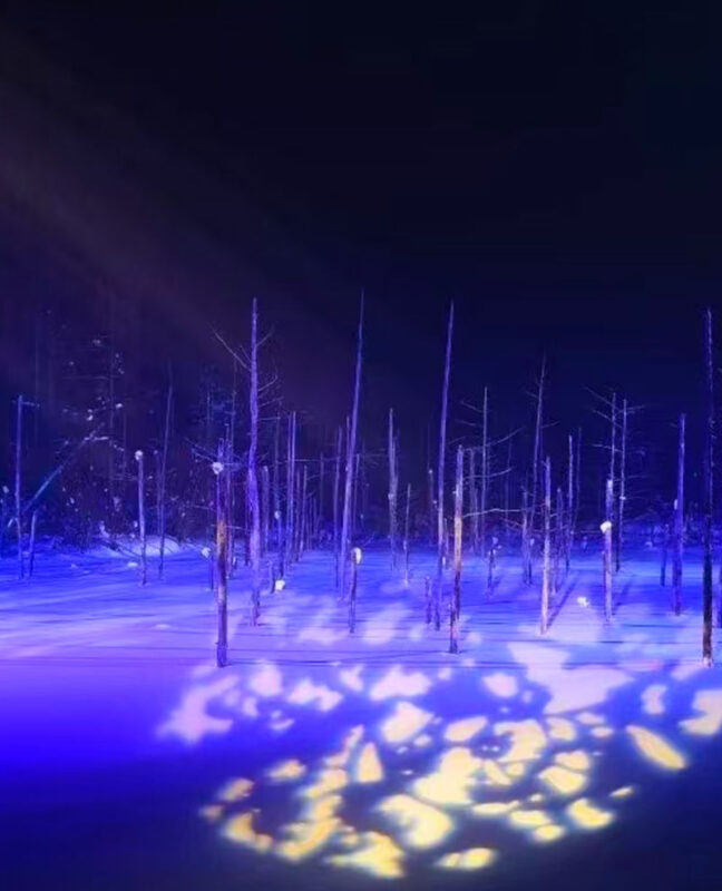 (Hokkaido Winter Illumination) Blue Pond Illumination & Ningle Terrace & Shirahige Waterfall & Shikisai no Oka & Biei Christmas Tree One-Day Tour (Departing from Sapporo) - The Blue Pond after sunset