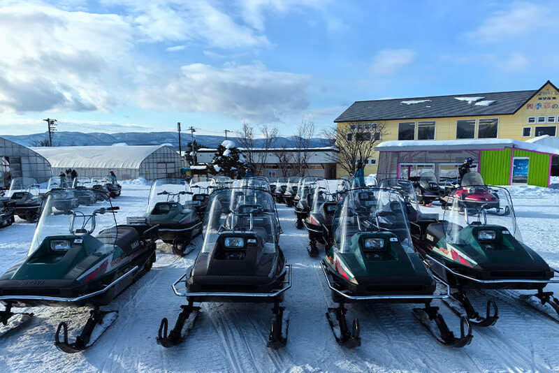 (Hokkaido Winter Illumination) Blue Pond Illumination & Ningle Terrace & Shirahige Waterfall & Shikisai no Oka & Biei Christmas Tree One-Day Tour (Departing from Sapporo) - What the fare covers, and what it does not