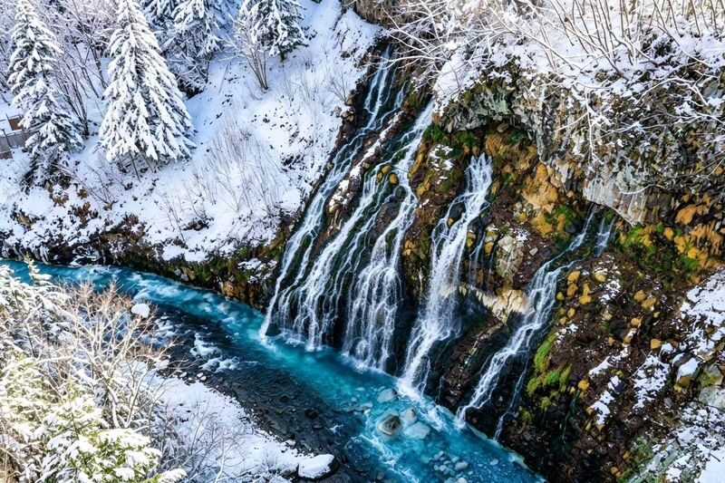 Hokkaido Winter Limited: Asahiyama Zoo & Shirogane Blue Pond & Shirasu Waterfall & Shikisai-no-Oka (Optional Snowmobile Experience) & Forest Elf Terrace Day Tour - Waterfall and pond: beautiful, but brief