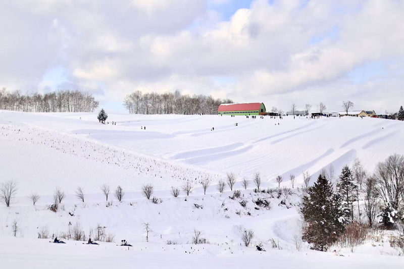 Hokkaido Winter Limited: Asahiyama Zoo & Shirogane Blue Pond & Shirasu Waterfall & Shikisai-no-Oka (Optional Snowmobile Experience) & Forest Elf Terrace Day Tour - What the price covers, and what it does not