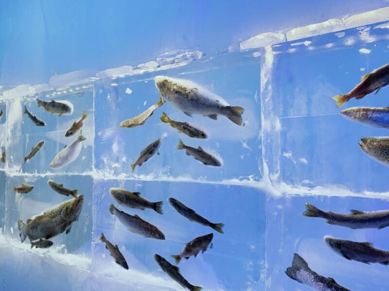 Hokkaido Winter : Sapporo to Noboribetsu, Lake Toya, Volcano - Who Would Love This Experience?