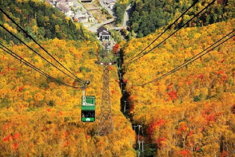 HokkaidoKurodake Ropeway, Asahiyama Zoo Autumn Leaves Tour - Exploring the Highlights of the Tour