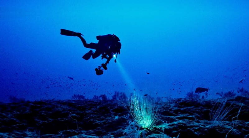 Hol Chan Marine Park night dive - Practical Details and Tips for Your Night Dive