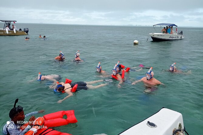 Hol Chan, Shark Ray Full-Day Snorkeling Tour From San Pedro Belize - Customer Reviews and Feedback