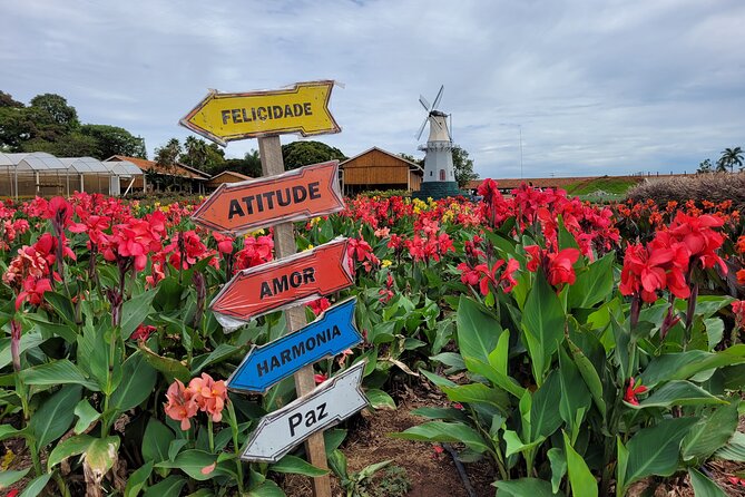 Holambra - The City of Flowers - Holambras Rich Floral History