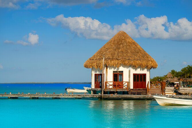 Holbox and Passion Island Full-Day Tour with Cenote, Transportation and Lunch - What You Can Expect from the Tour