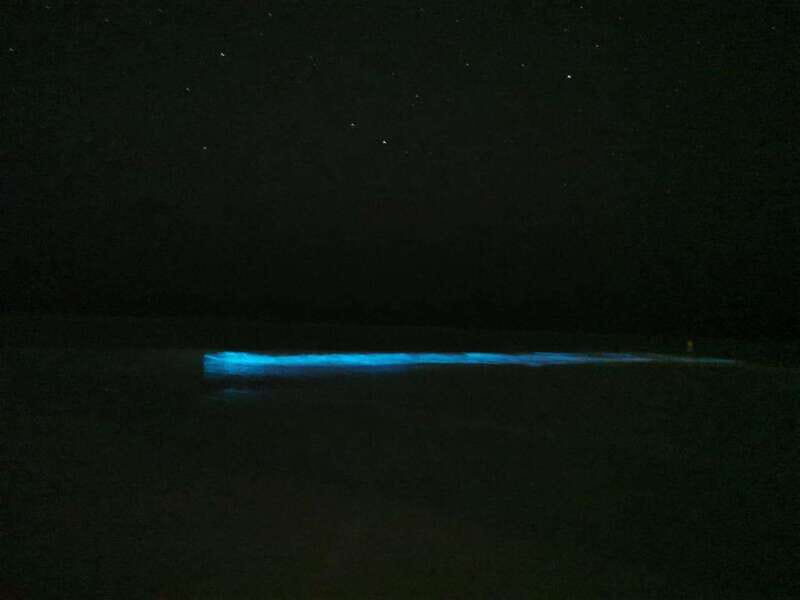 Holbox: Bioluminescence by Kayak and Stargazing. - Frequently Asked Questions