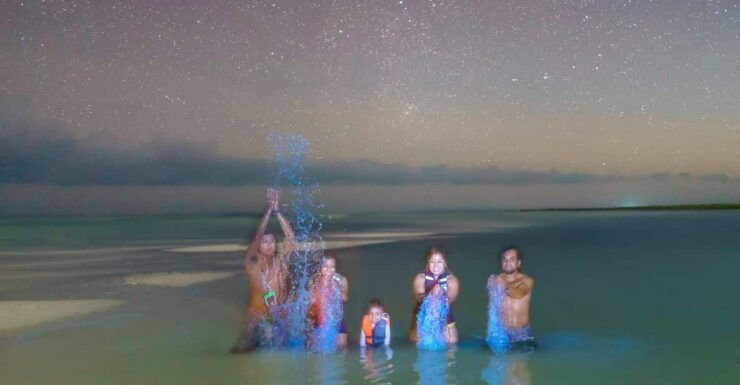 Holbox: Bioluminescence in Kayak - Good To Know