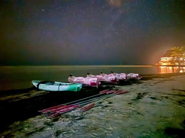 Holbox: Bioluminescence in Kayak - Pricing and Duration