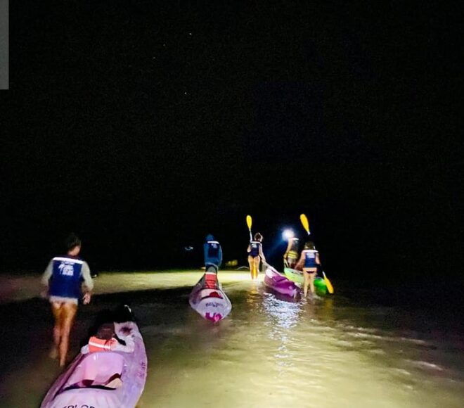 Holbox: Bioluminescence in Kayak - Pickup and Transportation