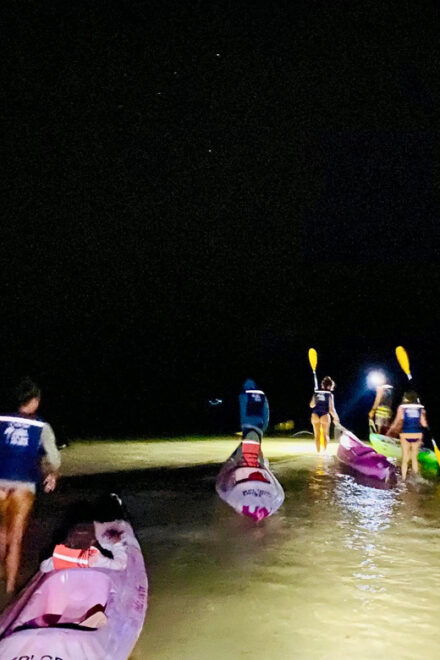 Holbox: Bioluminescence in Kayak - Kayaking and Activities