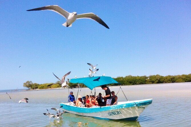 Holbox, Cenote & Isla Pasion from Cancun & Playa del Carmen - The Sum Up