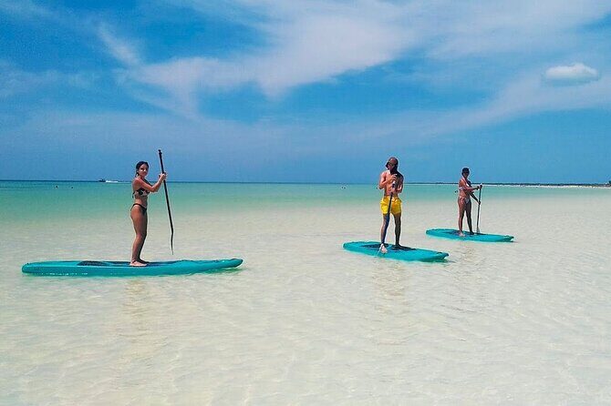 Holbox, Cenote & Isla Pasion from Cancun & Playa del Carmen - FAQ