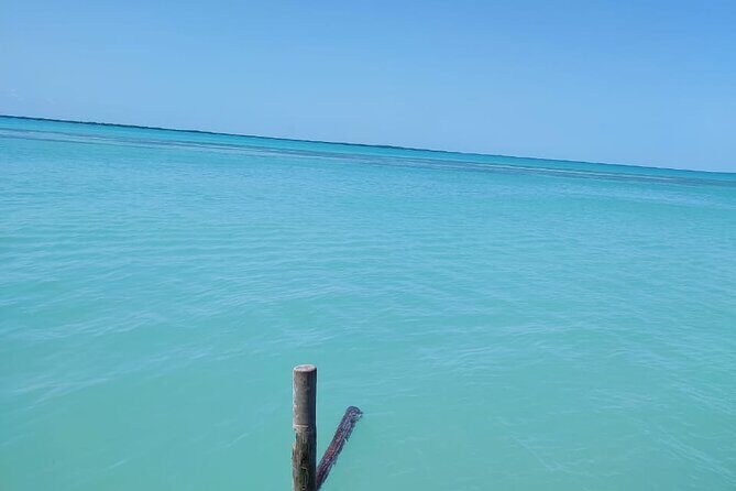 Holbox Exclusive Full Day Tour - Pricing and Overall Value