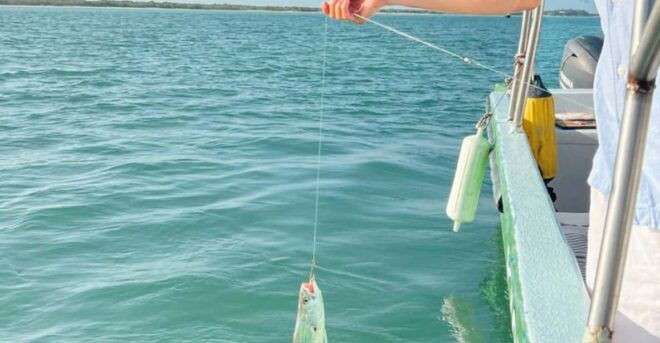 Holbox - Fishing & Snorkel in Cabo Catoche With Lunch - Fishing Experiences