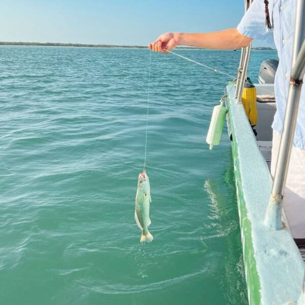 Holbox - Fishing & Snorkel in Cabo Catoche With Lunch - Frequently Asked Questions