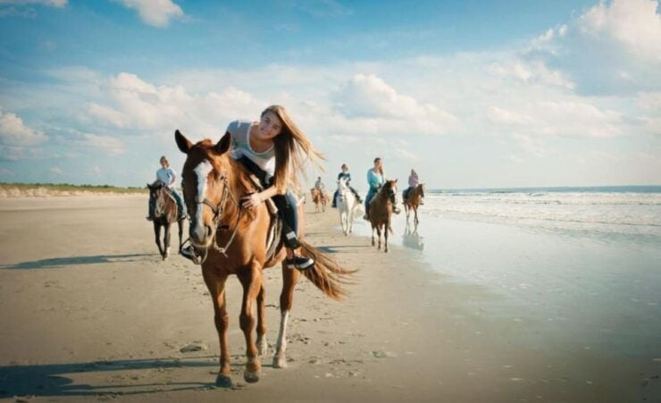 Holbox: Guided Horseback Ride on the Beach - Activity Details