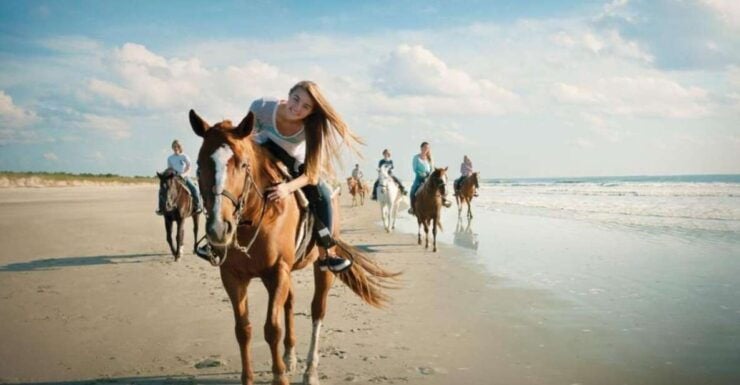 Holbox: Guided Horseback Ride on the Beach - Experience