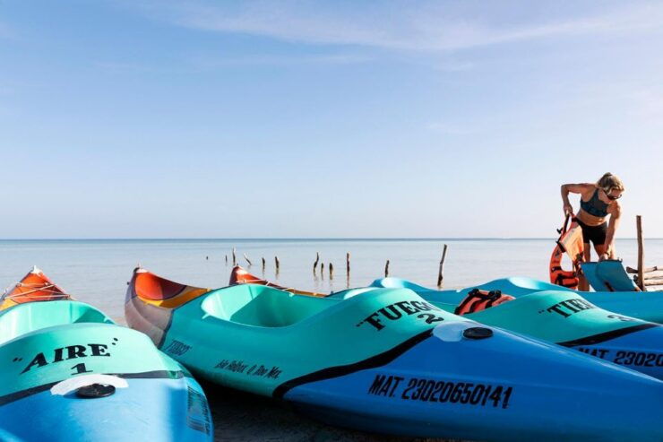 Holbox: Guided Kayaking Through Holbox's Mangroves - Activity Information