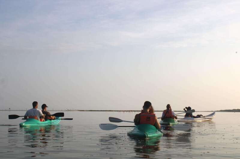 Holbox: Guided Sunrise/Sunset Kayak Tour by Mangrove Reserve - Good To Know