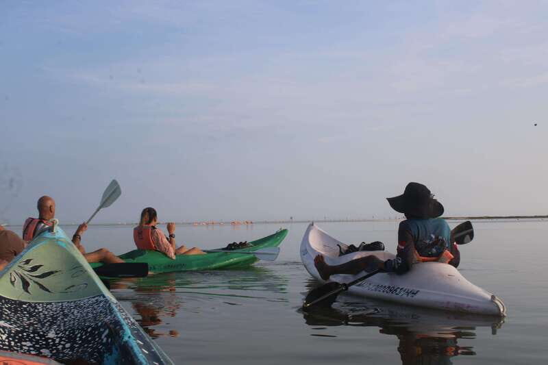 Holbox: Guided Sunrise/Sunset Kayak Tour by Mangrove Reserve - The Experience in Detail