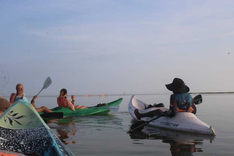 Holbox: Guided Sunrise/Sunset Kayak Tour by Mangrove Reserve - Who Will Love This Tour?