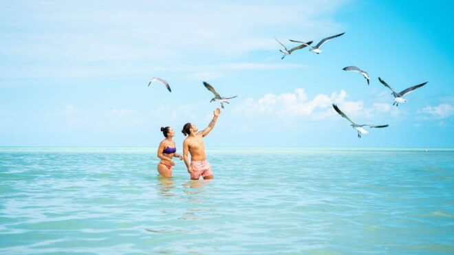 Holbox Island Adventure From Riviera Maya - Included in the Tour
