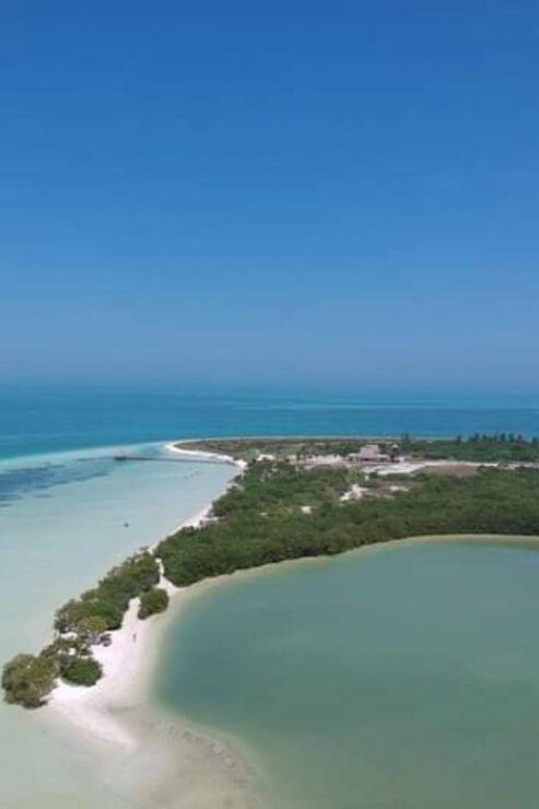 Holbox Island: Day Trip With Kayak Tour - Transportation and Pickup Details