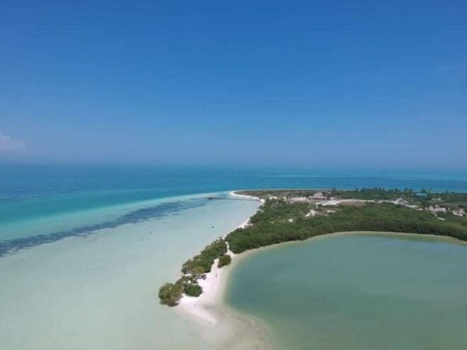 Holbox Island: Day Trip With Kayak Tour - Riding UTC Vehicles or Quad Bikes