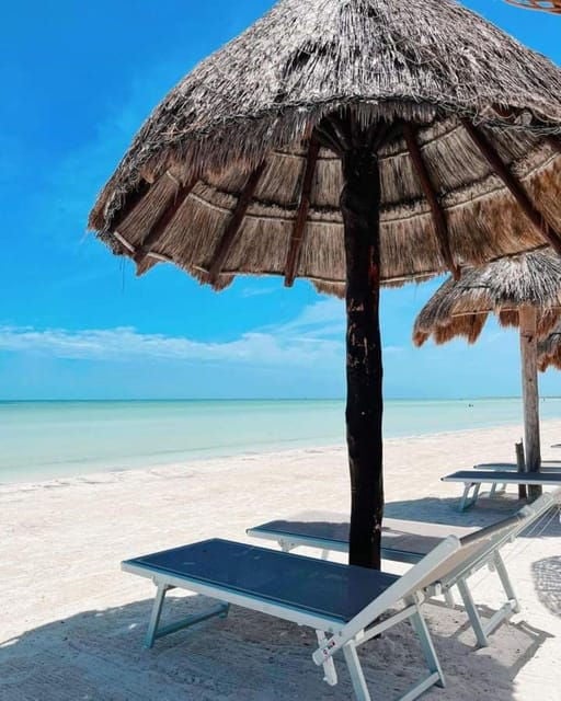 Holbox Island: Day Trip With Kayak Tour - Guided Kayak Tour of the Lagoon