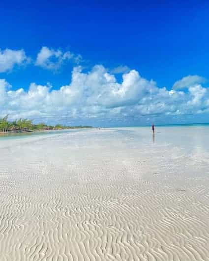 Holbox Island: Day Trip With Lunch - Good To Know
