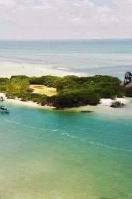 Holbox Island: Day Trip With Lunch - Inclusions