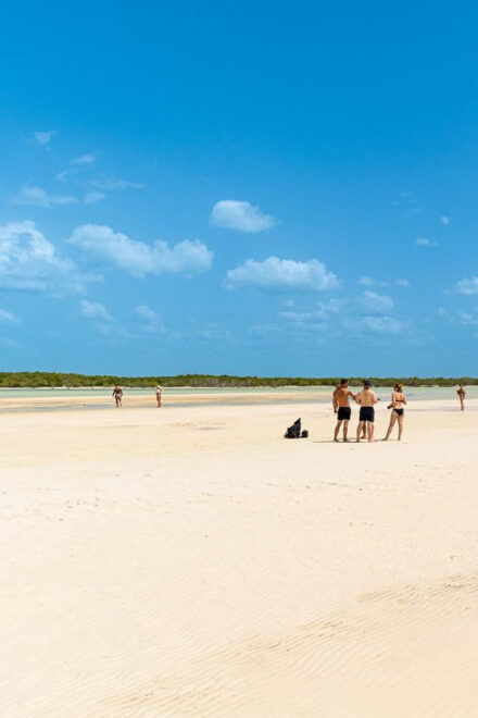 Holbox Island Day Trip With Lunch and Drinks - Inclusions
