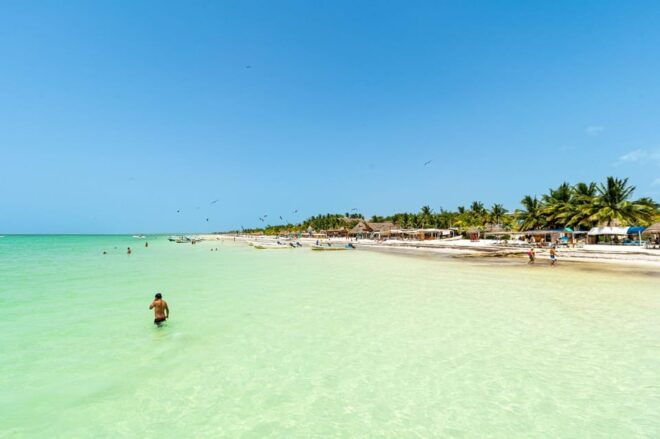 Holbox Island Day Trip With Lunch and Drinks - Highlights