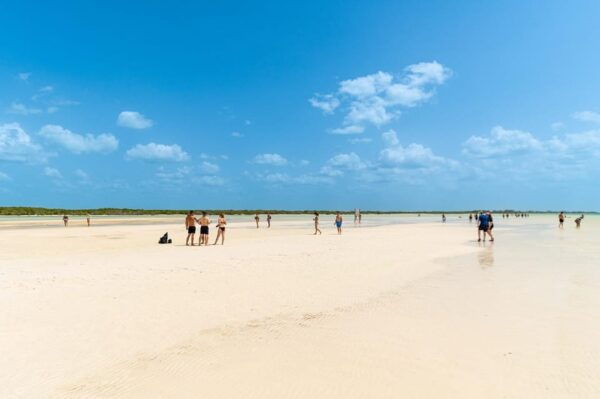 Holbox Island Day Trip With Lunch and Drinks - Cancellation and Reservation