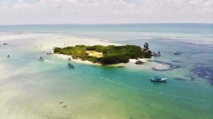 Holbox Island: Day Trip With Lunch - Good To Know