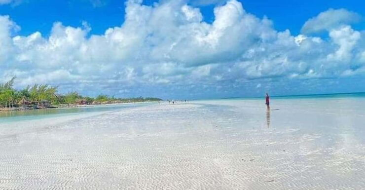 Holbox Island: Day Trip With Lunch - Itinerary and Experience