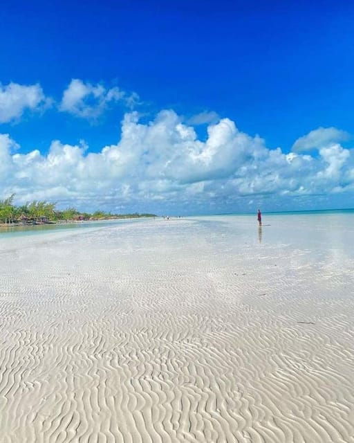 Holbox Island: Day Trip With Lunch - Additional Details