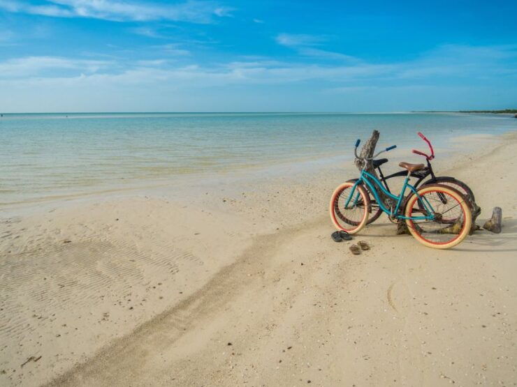 Holbox Island Discovery Tour With Transfer - Activity Details