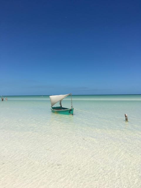 Holbox Island: Feel the Pristine Nature Around You - The Sum Up