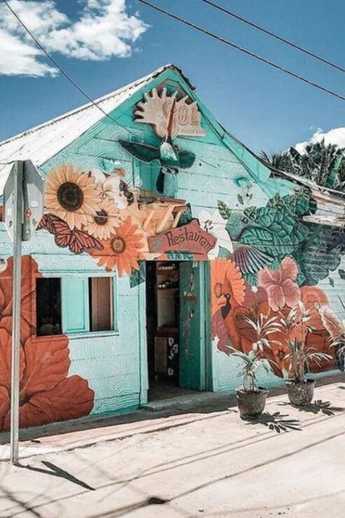 Holbox Island: Feel the Pristine Nature Around You - Good To Know