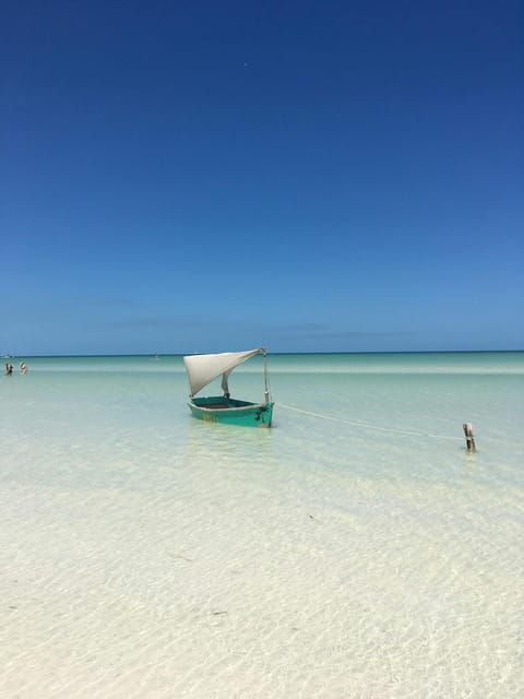Holbox Island: Feel the Pristine Nature Around You - Important Information