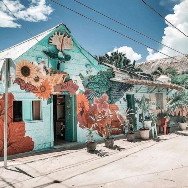 Holbox Island: Feel the Pristine Nature Around You - Yalahau Freshwater Spring