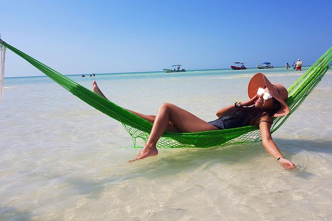 Holbox Island From Playa Del Carmen - Common Questions