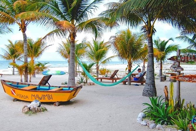 Holbox Island Full Day Trip With Lunch From Cancun - Pickup and Transportation Details