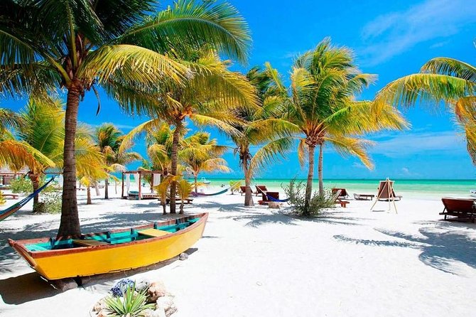 Holbox Island Full Day Trip With Lunch From Playa Del Carmen - Common Questions