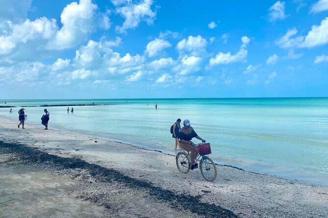 Holbox Island Punta Cocos & Punta Mosquito Tour! Playa Del Carmen - A Deep Dive into the Holbox Island Punta Cocos & Punta Mosquito Tour
